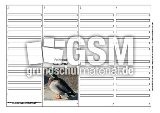 Faltbuch-Stockente-2.pdf